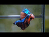 Nemo Galaxy Over Halfmoon Rosetail Male Betta 