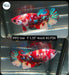 Betta Female Plakat High Grade Koi Fancy Galaxy (PPD-166) What you see is what you get
