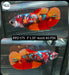 Betta Female Plakat High Grade Nemo Galaxy (PPD-175) What you see is what you get